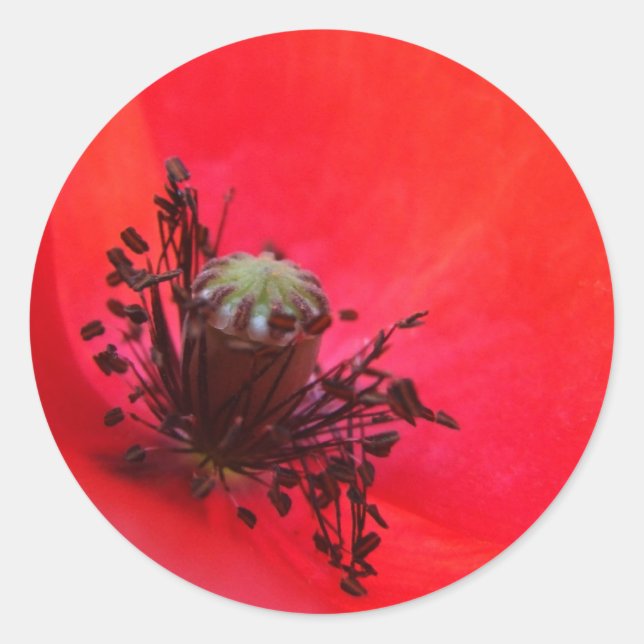 Poppy Stickers (Front)