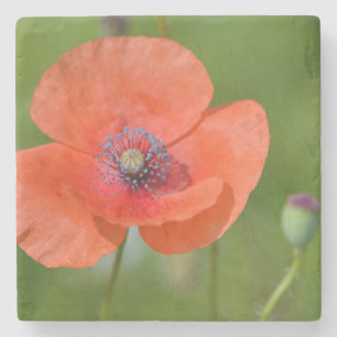 Poppy Stone Coaster