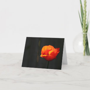 Poppy  thank you card