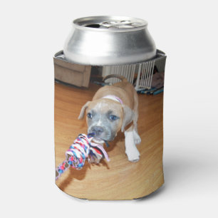 Poppy The Playful Pitty Tug Of War, Can Cooler