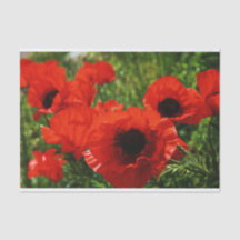 Poppy Tissue Paper