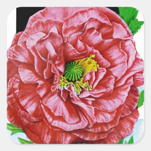 Poppy Vintage Seed Packet Square Sticker