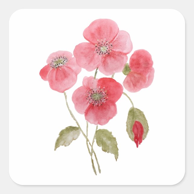 Poppy Watercolor Flower Square Sticker (Front)