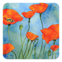 Poppy Watercolor