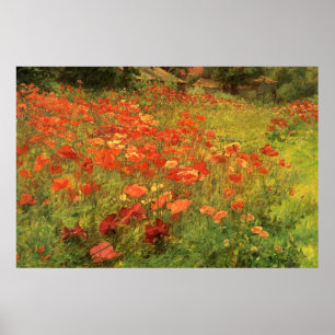 Poppyland Poster
