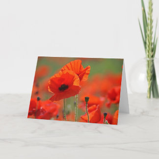 Poppys. Card