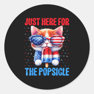 Popsicle 4th Of July Cat Usa American Flag Patriot Classic Round Sticker