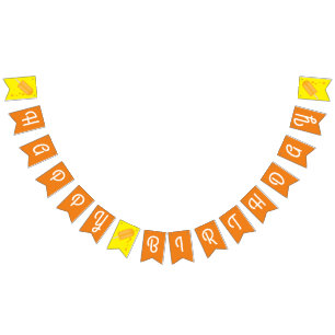 Popsicle Cute Summer 1st Birthday Party Theme Bunting