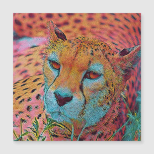popular Animals - Cheetah