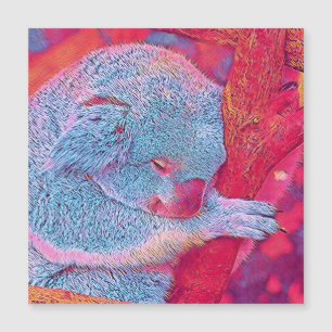 popular Animals - Koala