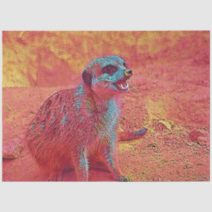 popular Animals - Meerkat Tissue Paper