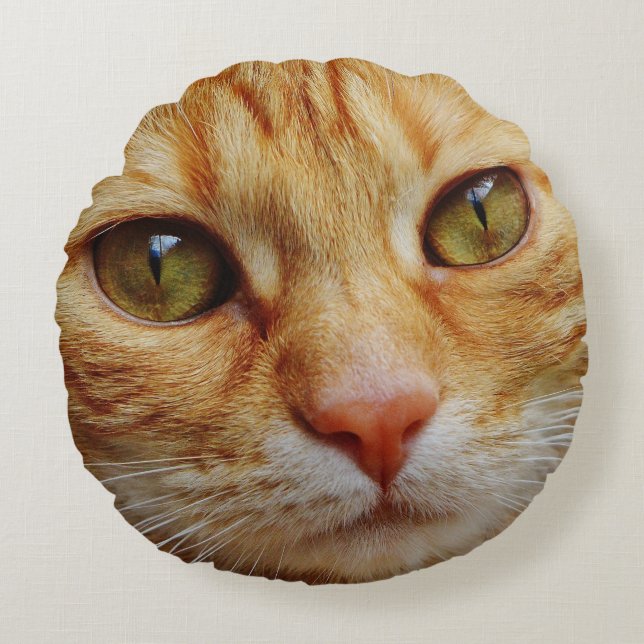 POPULAR BIG CAT FACE PILLOWS, ORANGE TABBY ROUND CUSHION (Front)