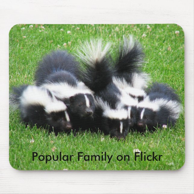 Popular Flickr Family Mouse Pad (Front)