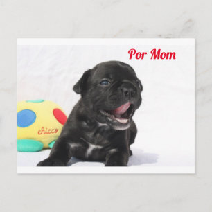Por Mum French Bulldog Postcard