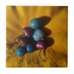Porcelain Berries and Pumpkin Tile