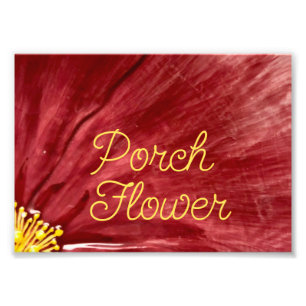 Porch Flower / Original / Photo Print