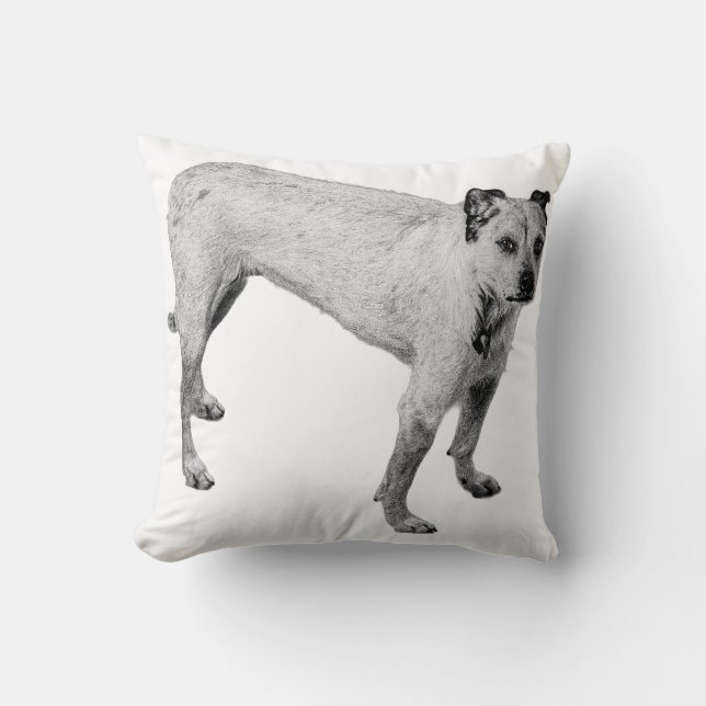 Porch Light Companion Cushion (Front)
