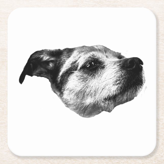 Porch-Light Hush — Terrier Square Paper Coaster (Front)