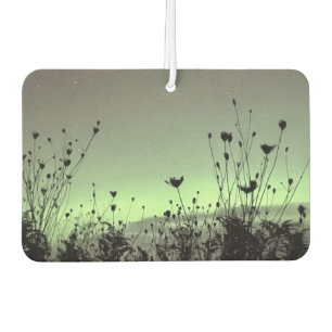 Porch View / Weeds / Car Air Freshener