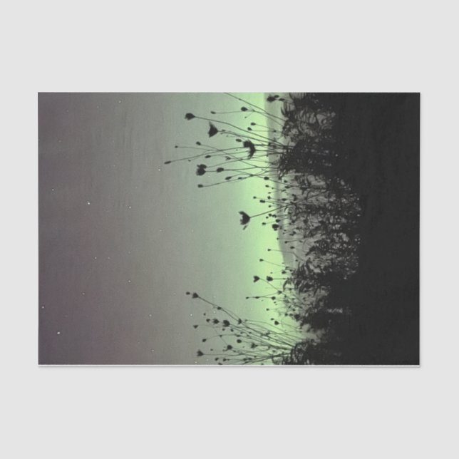 Porch View / Weeds / Tissue Paper (Front)