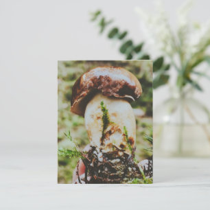 Porcini Mushroom in Swedish Forest RSVP Card