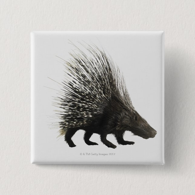 Porcupine 15 Cm Square Badge (Front)