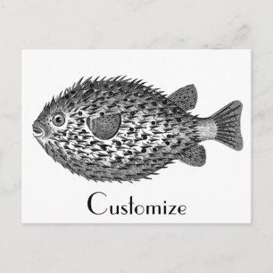 Porcupine blowfish Thunder_Cove Postcard