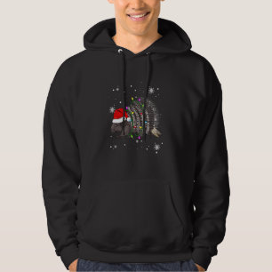 Porcupine Christmas Lights Led Santa Hat Christmas Hoodie