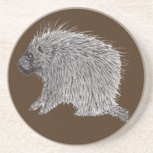 Porcupine Coaster