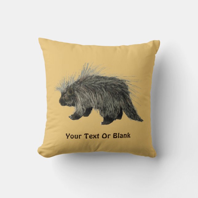 Porcupine Cushion (Front)