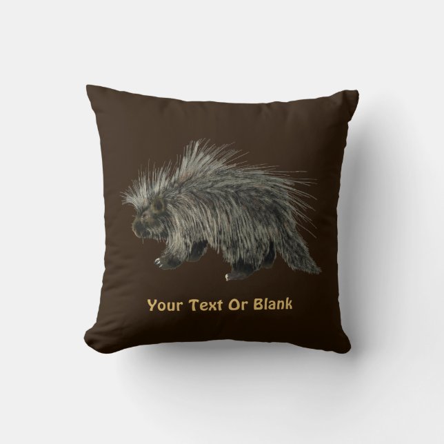 Porcupine Cushion (Front)
