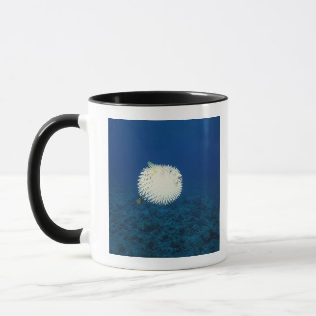 Porcupine Fish Mug (Left)