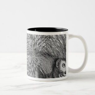 Porcupine, from 'Historia Animalium' Two-Tone Coffee Mug