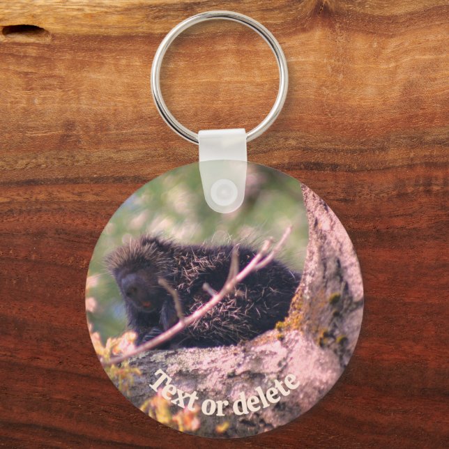 Porcupine In Tree Animal Nature Personalised Key Ring (Front)