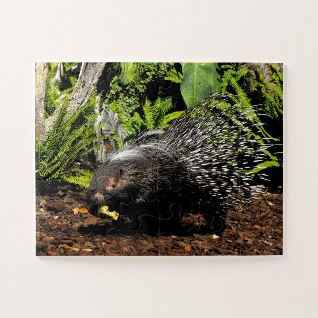 Porcupine Jigsaw Puzzle (Horizontal)