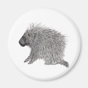 Porcupine Magnet