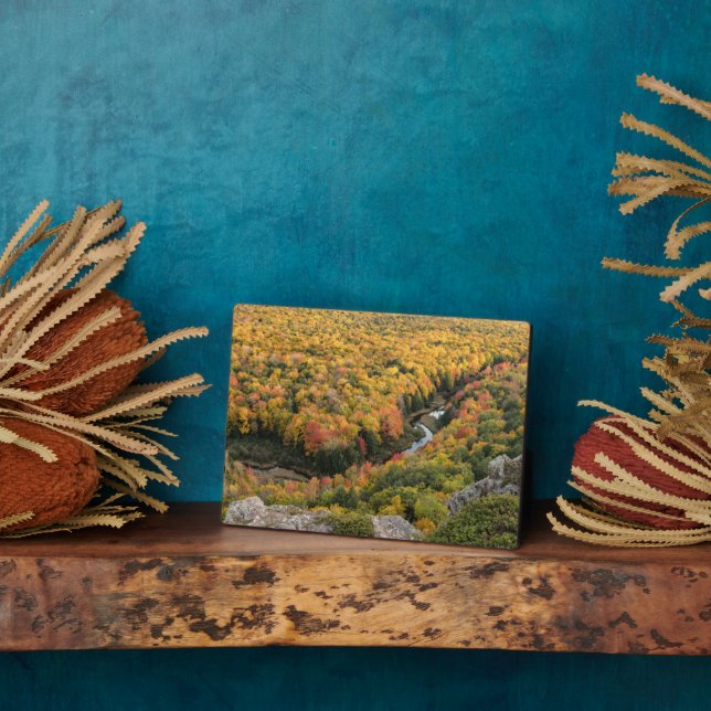 Porcupine Mountains Wilderness State Park Plaque (Side)