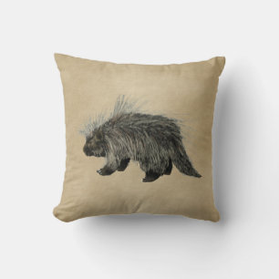 Porcupine On Old Paper Cushion