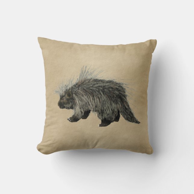 Porcupine On Old Paper Cushion (Front)
