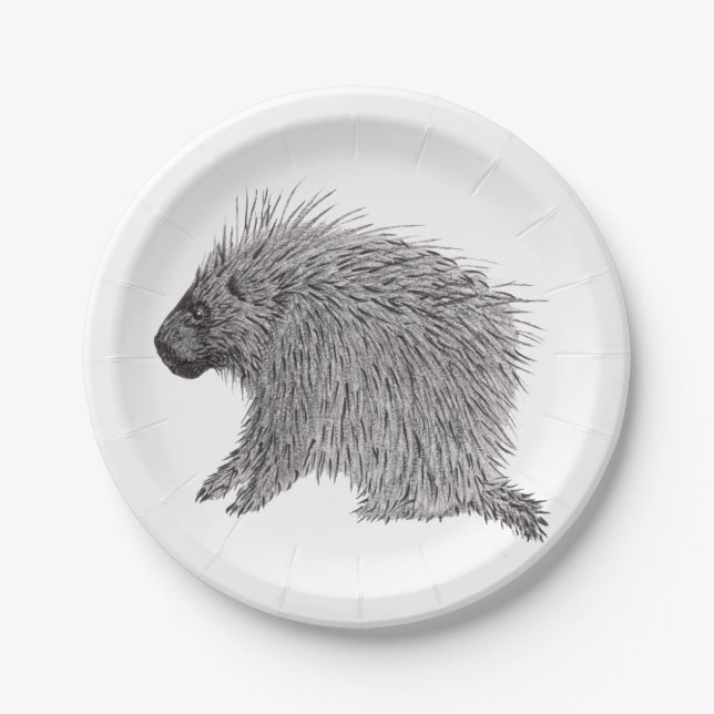 Porcupine Paper Plate (Front)