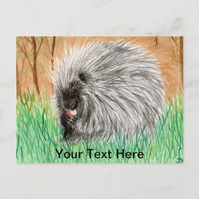 Porcupine Postcard (Front)