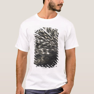 Porcupine quills T-Shirt