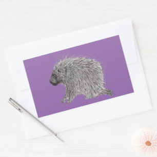 Porcupine Rectangular Sticker