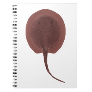 Porcupine River Stingray Notebook