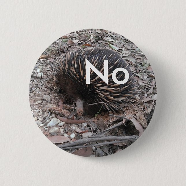 Porcupine says: No 6 Cm Round Badge (Front)
