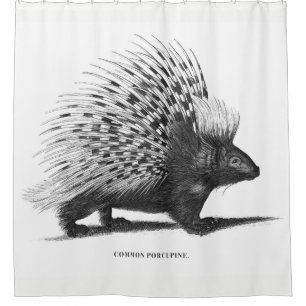Porcupine Shower Curtain