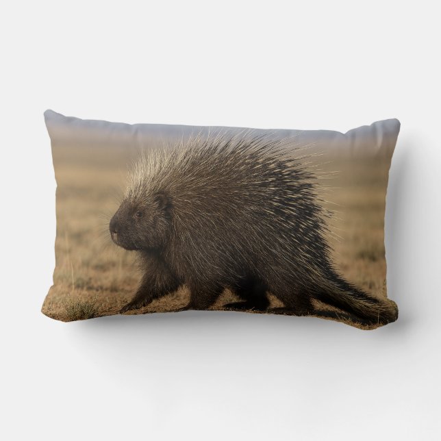 Porcupine vs. Dog Lumbar Cushion (Back)