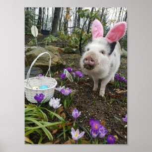 "Pork Chop" The Easter Pig! Poster