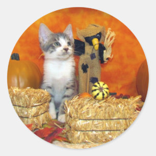 Pork Chop's Fall - Cat / Kitten Round Stickers