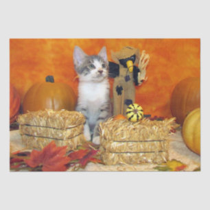 Pork Chop's Fall / Thanksgiving Cat Tissue Paper